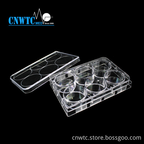 PS 6 Holes Laboratory Tissue Culture Plate